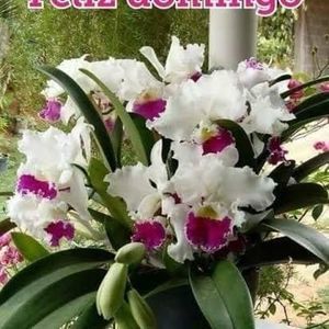 Meet your Posher, Aida